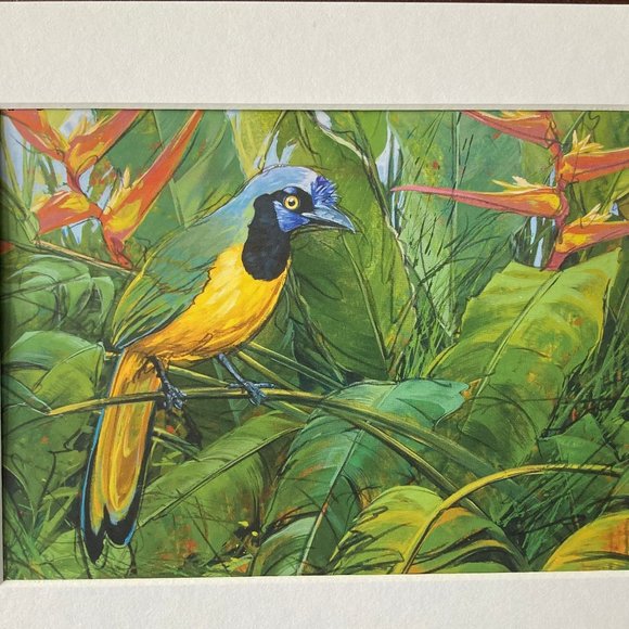 8x10" Colombia Cafe Quindio Art Print (w/mat): Green Jay- HOME - Picture 2 of 8